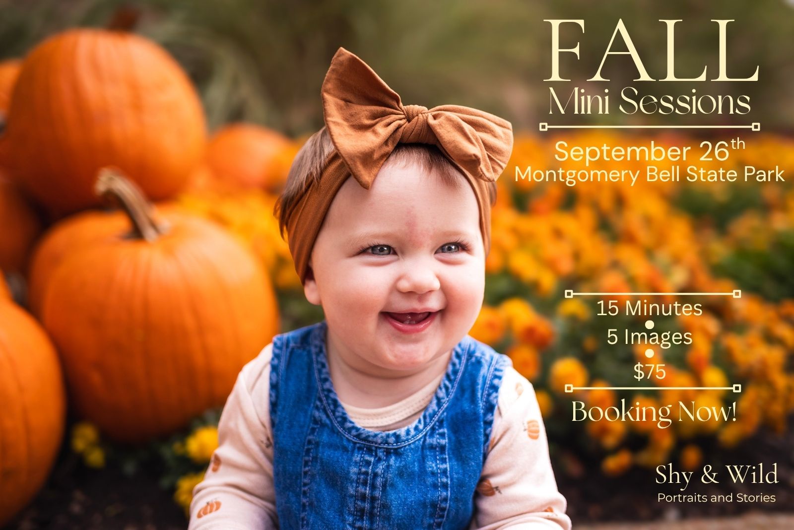 Fall mini sessions at Montgomery Bell State Park on September 26: 15 minutes, five images, $75